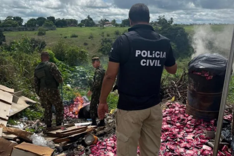 Polícia / Bahia / Polícia apreende mais de 100 mil fogos de artifício clandestinos durante operação em SAJ