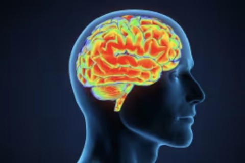 Alzheimer | Memória | Alzheimer: perda de memória recente é um dos principais sinais de alerta, explica neurologista