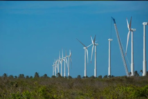 Economia | Empregos Verdes | Estudo aponta que o Brasil pode criar até 7 milhões de empregos verdes até 2030