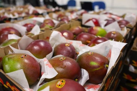 Política | Governador critica tarifa dos EUA e defende soberania do Brasil: “Não somos quintal de ninguém”