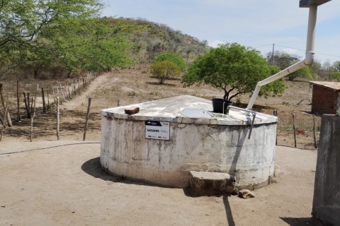 Estiagem | Agricultura familiar | Seca compromete produção agrícola e ameaça rebanhos na zona rural de Feira de Santana