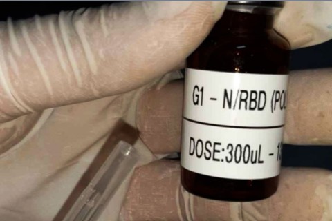 Saúde | Vacina brasileira | SpiN-TEC: vacina 100% brasileira contra a Covid-19 avança e marca salto tecnológico na ciência nacional