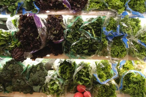 Brasil | Direitos Humanos | Consea quer levar debate sobre segurança alimentar para a COP30