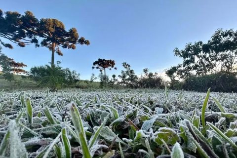 Brasil / Frio / Ao menos 8 capitais devem registrar recordes de baixas temperaturas