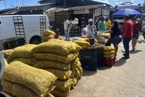 São João | Centro de Abastecimento | Às vésperas do São João, preços de milho, amendoim e laranja atraem consumidores no Centro de Abastecimento
