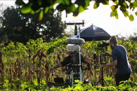 Cultura | Cinema | “Levante”: filme gravado em Feira de Santana valoriza quilombo da Matinha e movimenta economia local