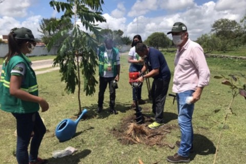 Meio Ambiente | Sustentabilidade | Semana Verde vai distribuir mais de 600 mudas e promover educação ambiental em Feira de Santana