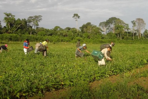 Economia | Desenrola Rural | Programa Desenrola Rural fortalece agricultura familiar e ultrapassa meta de acordos